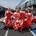 Toyota Revs Up for GT86 and LFA in Nürburgring 24 with Video