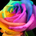 usmanmunir1213 usmanmunir1213