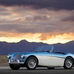 Austin-Healey 100