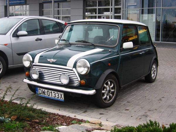Mini Mini