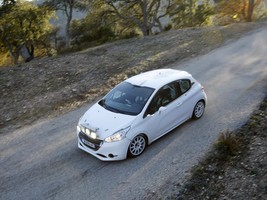 Peugeot Begins Testing New 208 Rally Car In France News