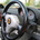 Lotus Elise