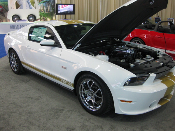 Shelby GTS 50th Anniversary Shelby GTS 50th Anniversary