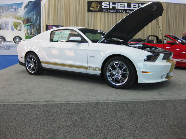 Shelby GTS 50th Anniversary Shelby GTS 50th Anniversary