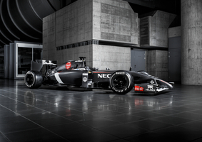 Esteban Gutierrez and Adrian Sutil will drive for the team in 2014