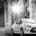 The model receives a retouched design, a new security kit and two new engines for both the hatchback and convertible versions