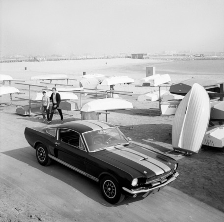 Ford Mustang GT 350 Shelby Ford Mustang GT 350 Shelby