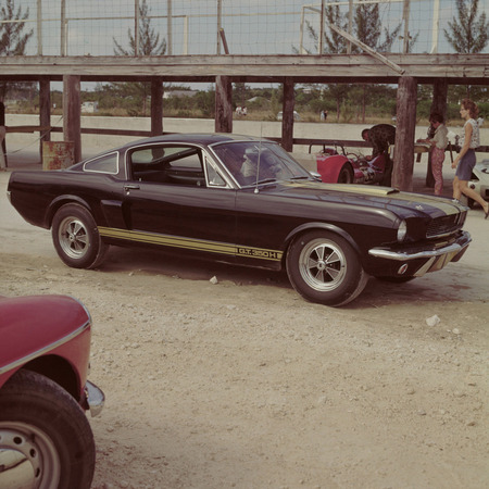 Ford Mustang GT 350 Shelby Ford Mustang GT 350 Shelby