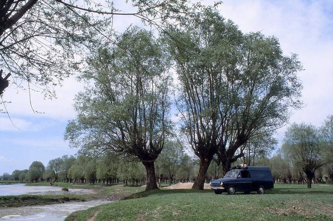DAF 33 Van DAF 33 Van
