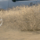 Name That Car! Name That Car!