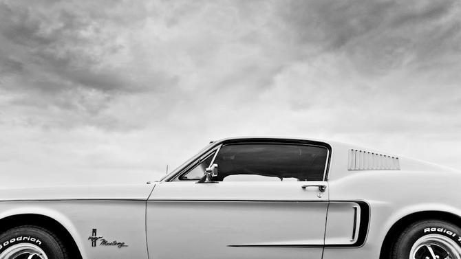Autoviva's Facebook Avatar Photo Contest - August 2011 Autoviva's Facebook Avatar Photo Contest - August 2011