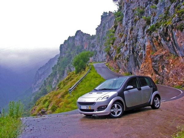 smart Forfour smart Forfour