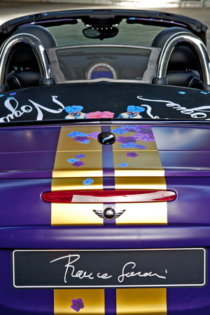 The wind screen also has a floral pattern The wind screen also has a floral pattern