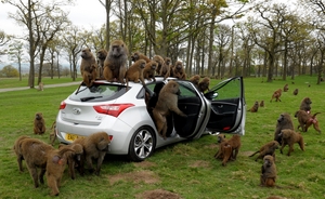 Hyundai really just opened the car up and walked away