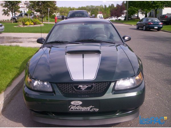 Ford Mustang Bullitt Ford Mustang Bullitt