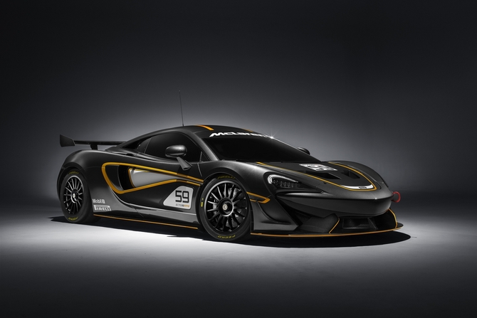 The 570S GT4 is a track car that can be homologated for several world GT categories The 570S GT4 is a track car that can be homologated for several world GT categories