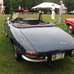 The 2012 Pittsburgh Vintage Grand Prix. 