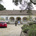 Mercedes New and Old Featured in 'Night Train to Lisbon'
