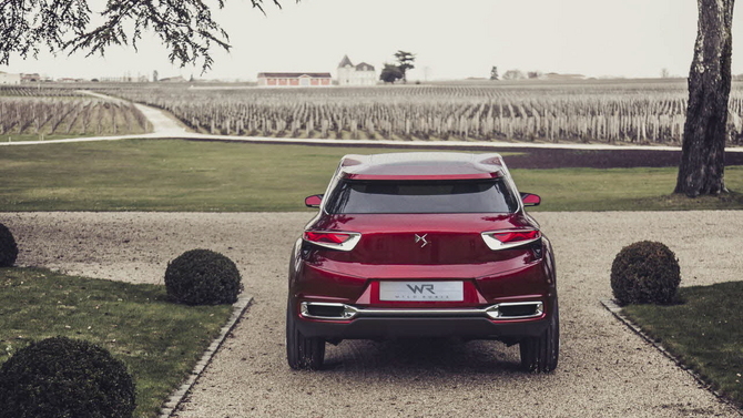 The rear of the Wild Rubis is higher on the edges than in the middle, which makes it look like it has horns The rear of the Wild Rubis is higher on the edges than in the middle, which makes it look like it has horns
