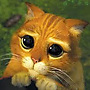 totoruylabutes totoruylabutes