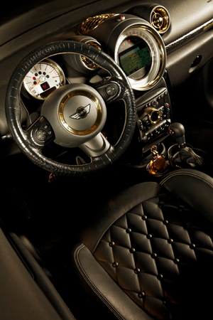 MINI (BMW) Paceman Roberto Cavalli MINI (BMW) Paceman Roberto Cavalli