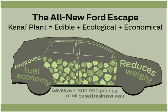Ford Using Kenaf Plant to Build New Escape's Doors Ford Using Kenaf Plant to Build New Escape's Doors