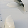 Chaparral 1