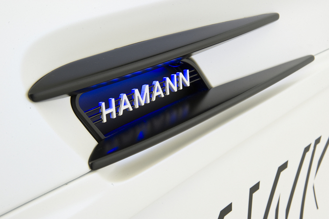 Hamann Motorsport Hawk Hamann Motorsport Hawk