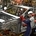 It builds 400,000 cars a year under both brands in India