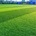 Lawns for Leisure | Artificial Grass 