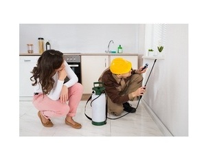 Chevrolet Aveo 1.2 L Bi-Fuel