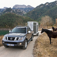 Navara 2.5 dCi 4x4 3,5T  XE Comfort