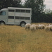 Tatra NW Type E vs Citroën Type H Betaillere