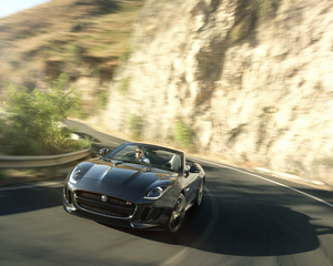 F-Type