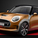 MINI Vision