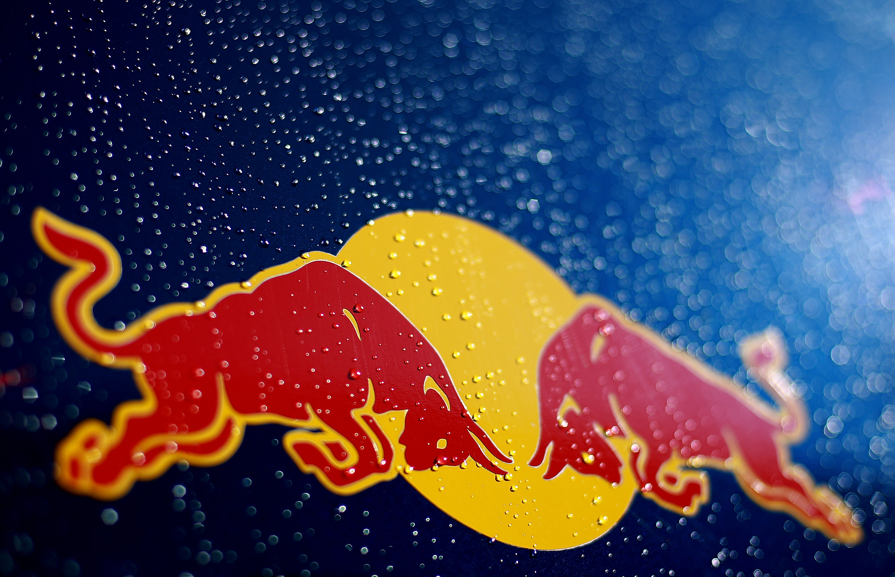 Red Bull (F1 Preview) :: News :: autoviva.com