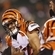 bengalsjaguars