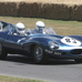 Jaguar D-Type Works Long Nose