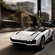 The roadster has no roof but just two carbon fiber roll hoops