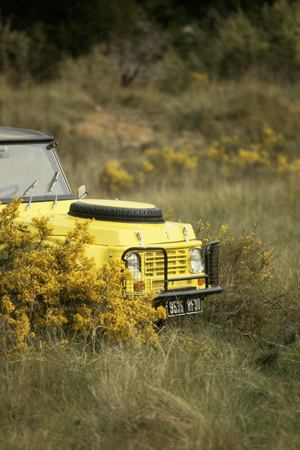 Citroën Mehari 4x4 Citroën Mehari 4x4
