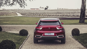 The rear of the Wild Rubis is higher on the edges than in the middle, which makes it look like it has horns