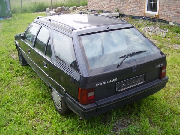 BX BX