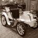 Type 36 Spider